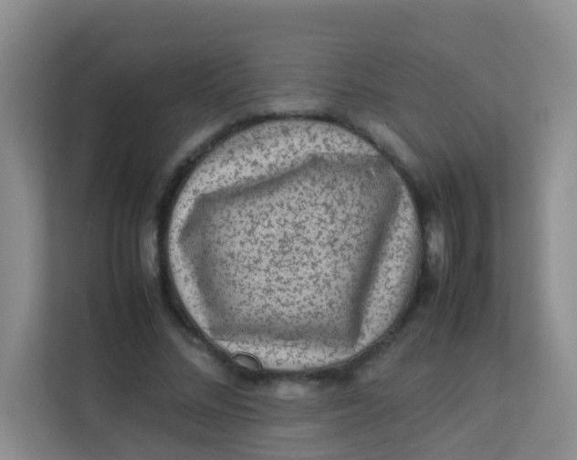 X0000113640684200910091537