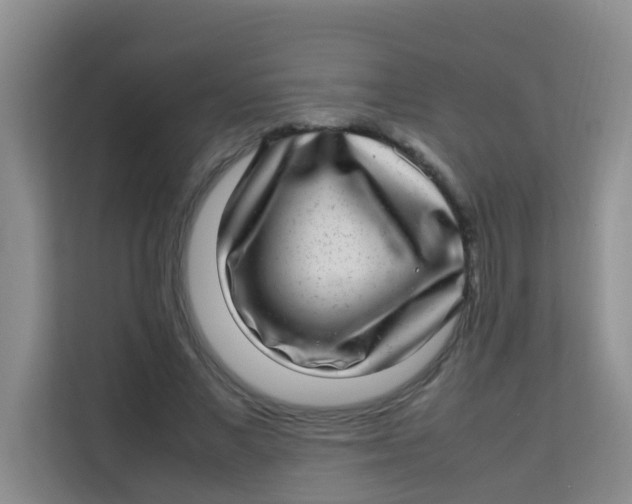 X0000113640685200910091537