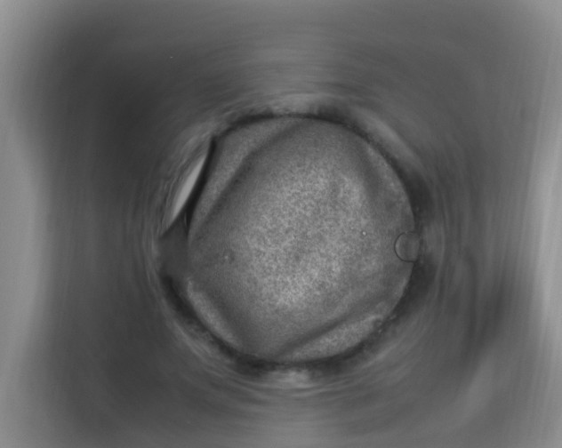 X0000113640687200910091537