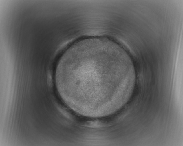 X0000113640688200910091537