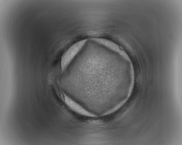 X0000113640689200910091537