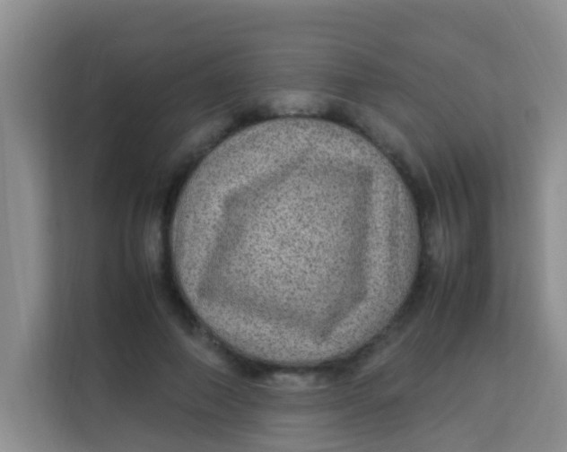 X0000113640690200910091537