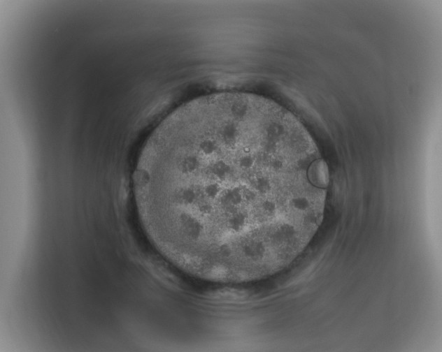 X0000113640691200910091537