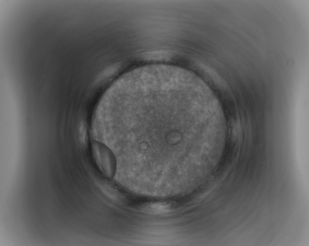 X0000113640692200910091537