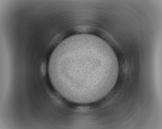 X0000113640694200910091537