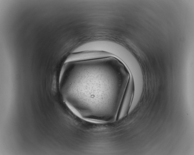 X0000113640696200910091537