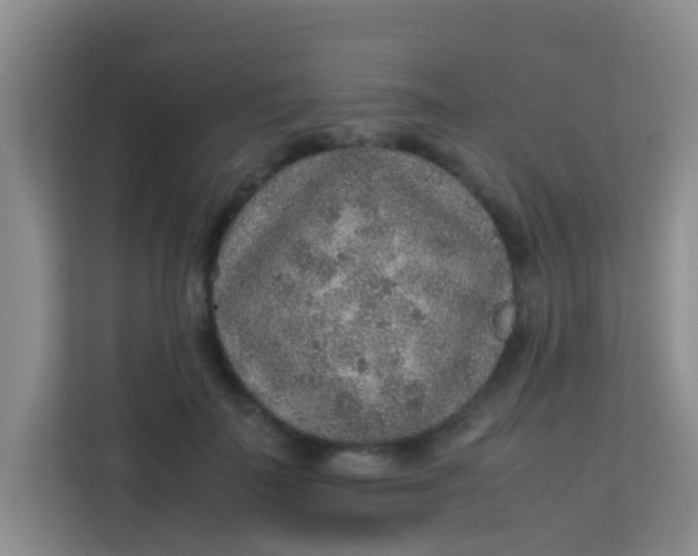 X0000113640699200910091537