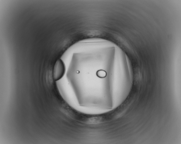 X0000113640700200910091537