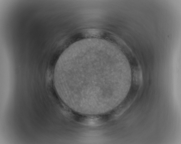 X0000113640701200910091537