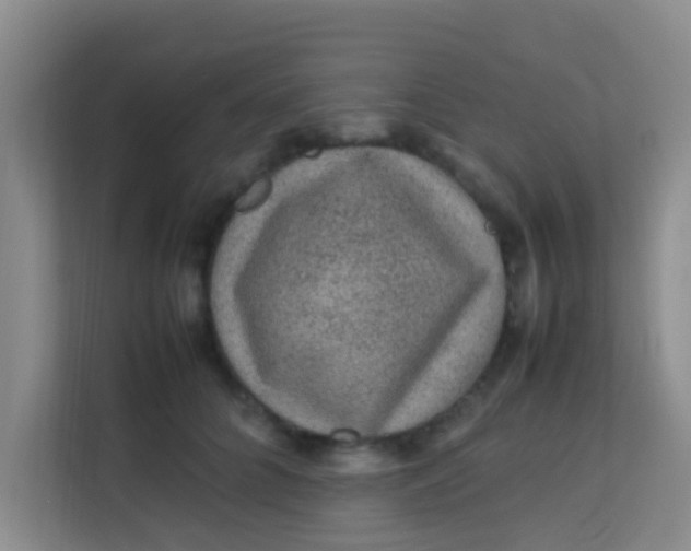 X0000113640704200910091537