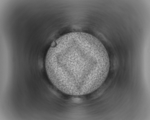 X0000113640706200910091537