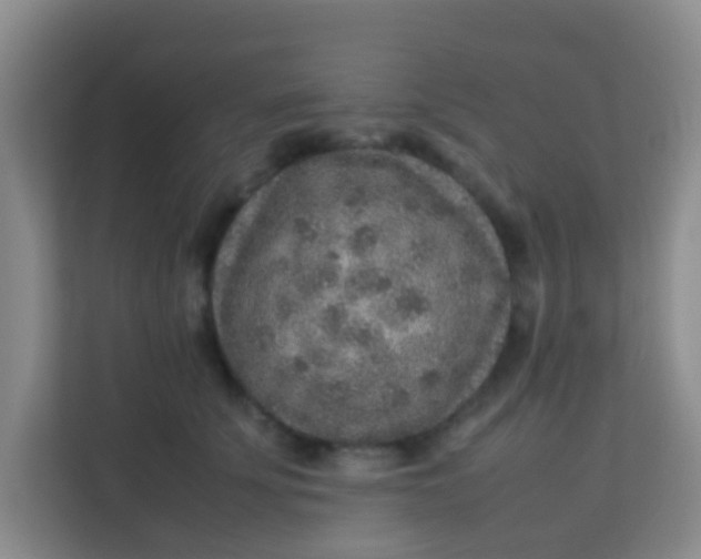 X0000113640707200910091537