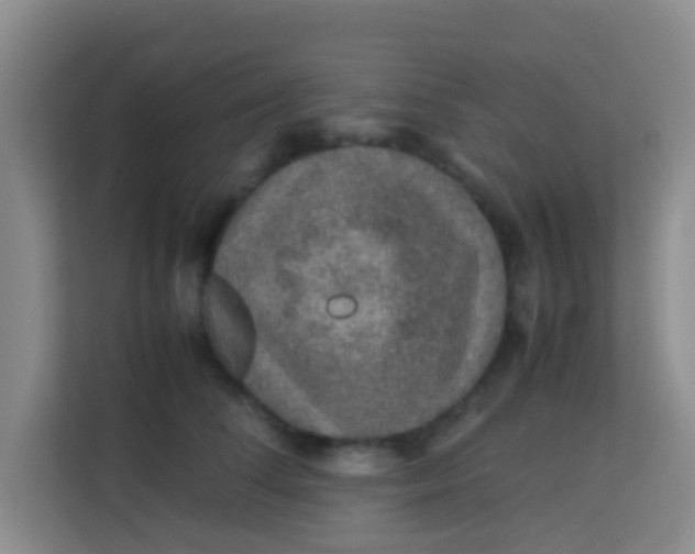 X0000113640708200910091537