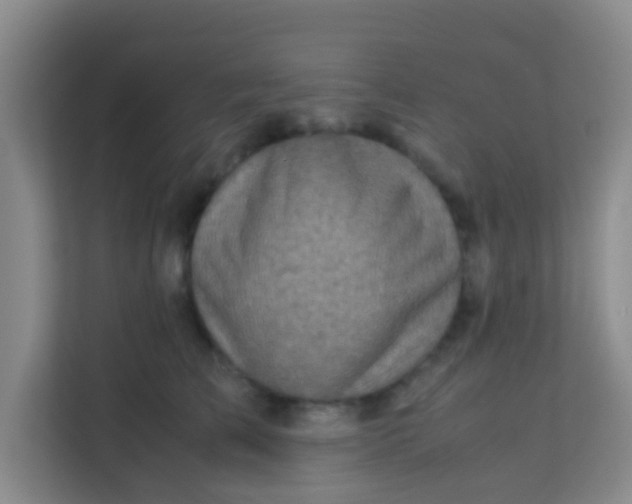 X0000113640709200910091537