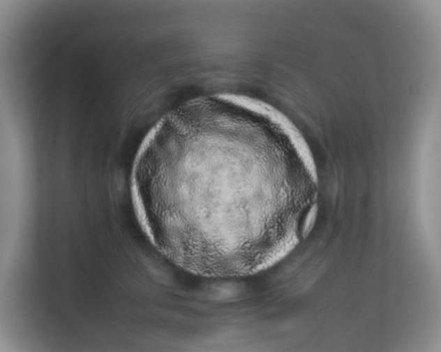 X0000113640711200910091537