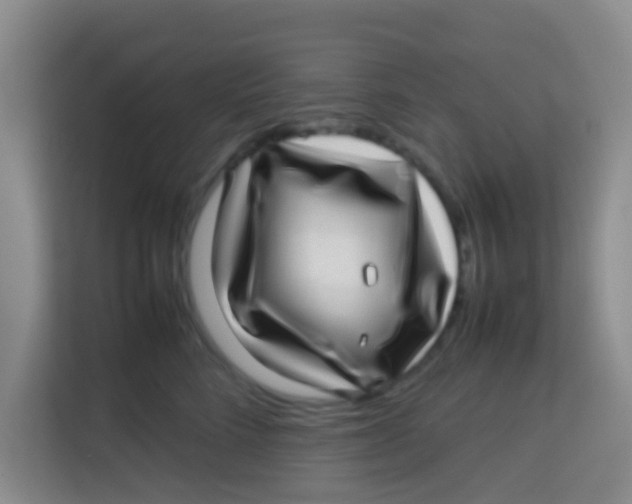 X0000113640712200910091537