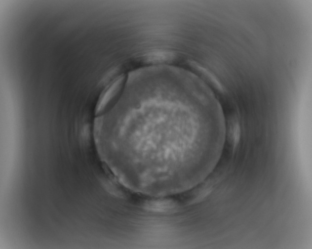 X0000113640716200910091537