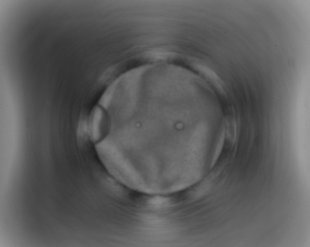 X0000113640718200910091537