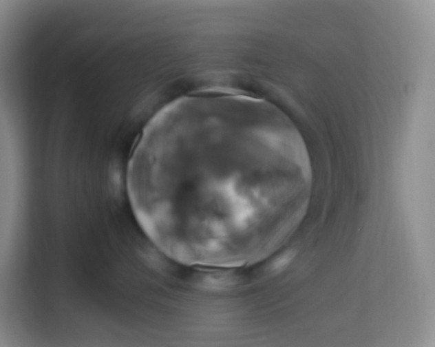 X0000113640720200910091537