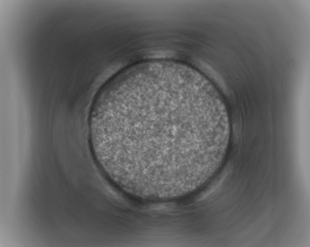 X0000113640721200910091536