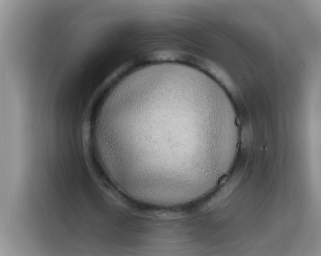 X0000113640722200910091536