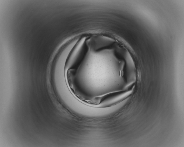 X0000113640724200910091536