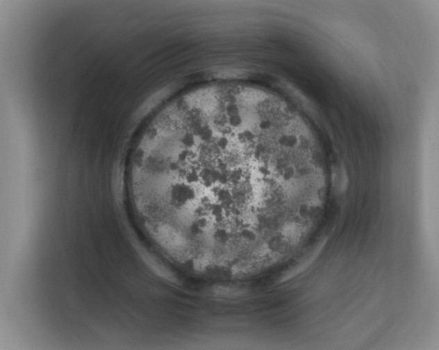 X0000113640725200910091536