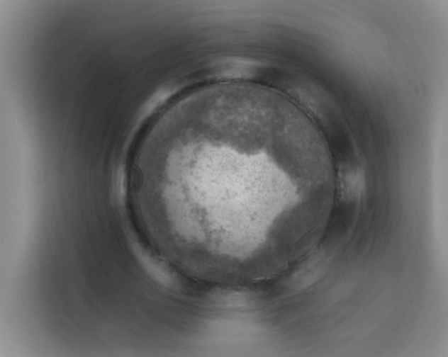 X0000113640726200910091536