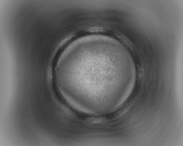 X0000113640727200910091536