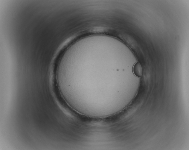 X0000113640728200910091536