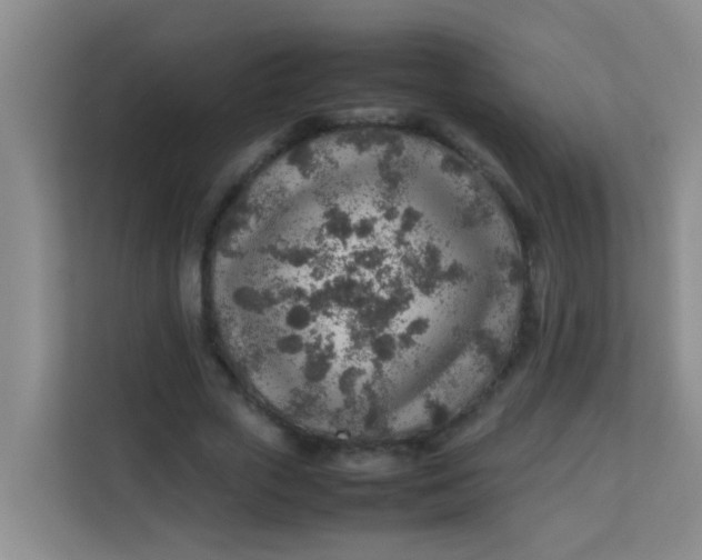 X0000113640729200910091536