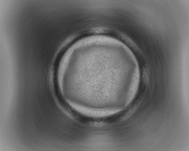 X0000113640730200910091536