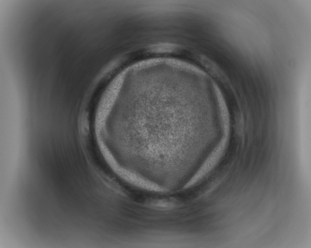 X0000113640731200910091536