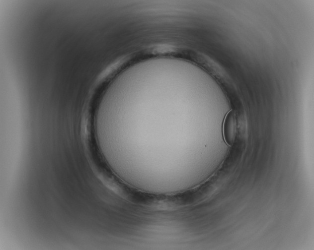 X0000113640732200910091536