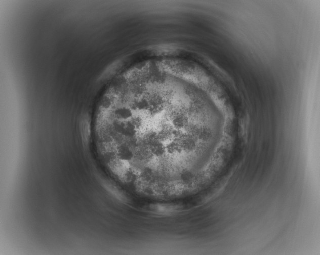 X0000113640733200910091536