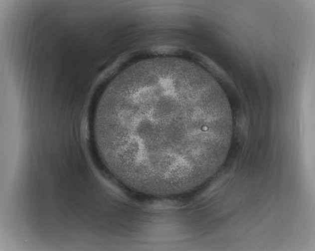 X0000113640734200910091536