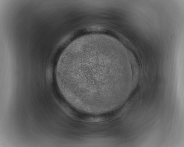 X0000113640735200910091536