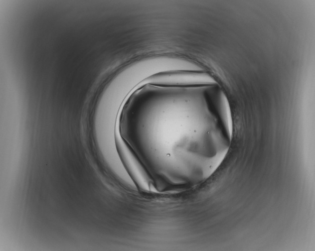 X0000113640736200910091536