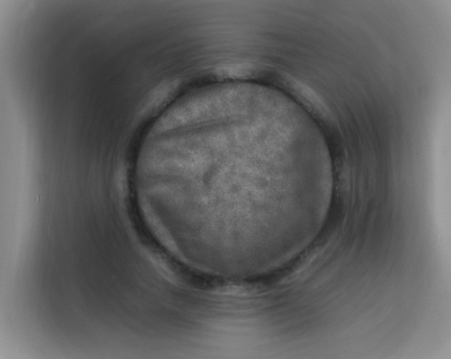 X0000113640738200910091536