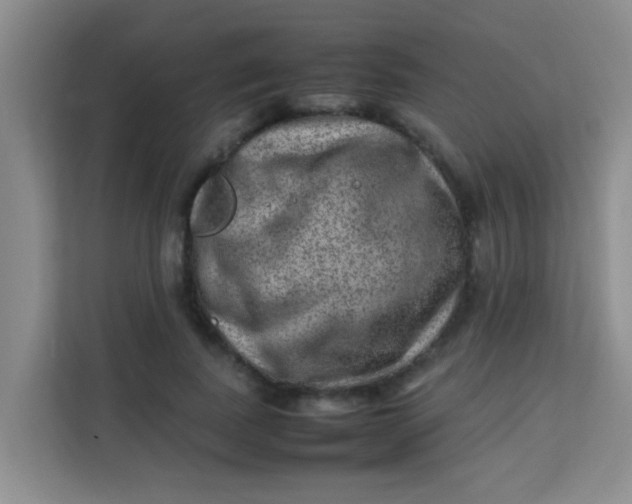 X0000113640739200910091536