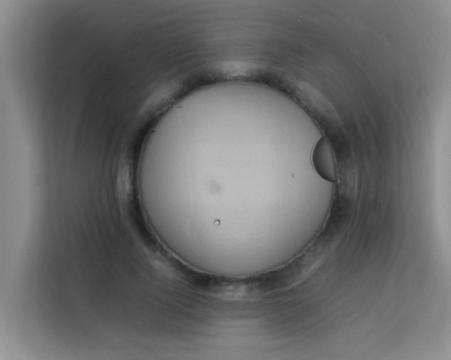 X0000113640740200910091536