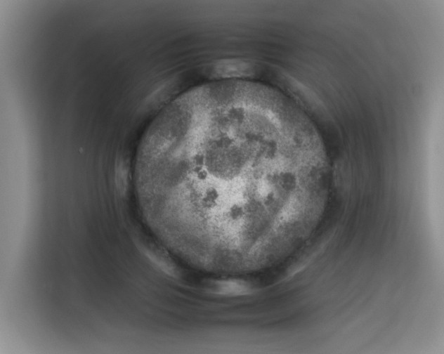 X0000113640741200910091536