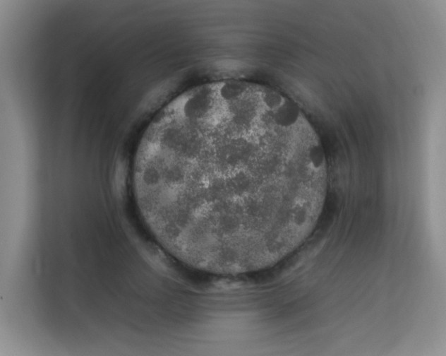 X0000113640742200910091536