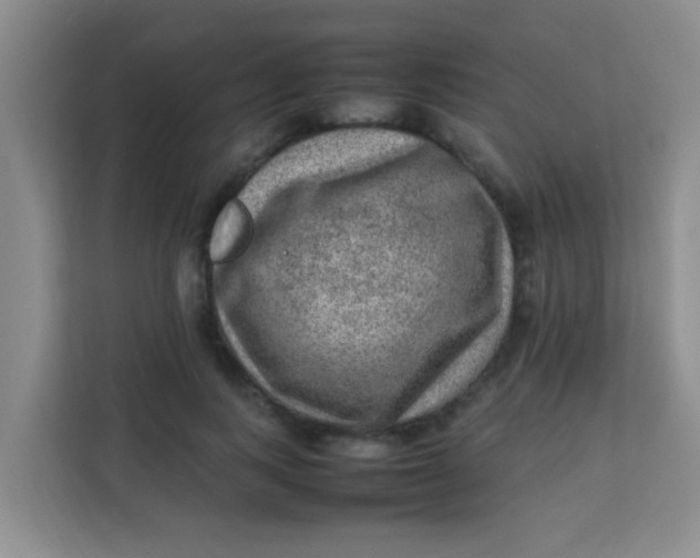 X0000113640743200910091536