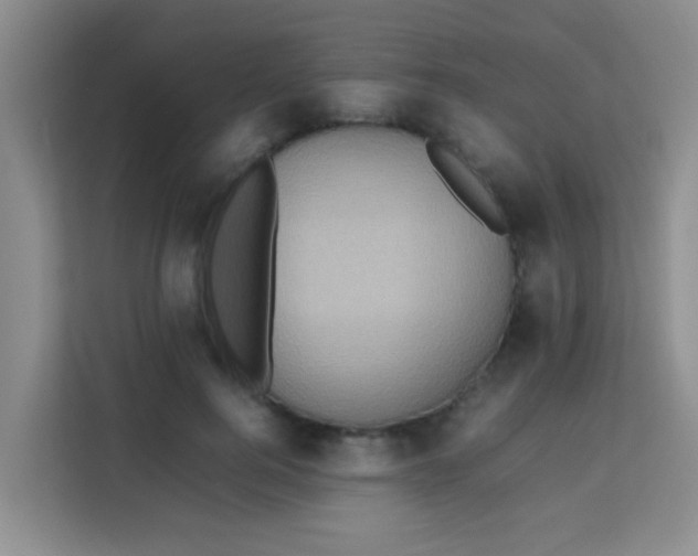 X0000113640744200910091536