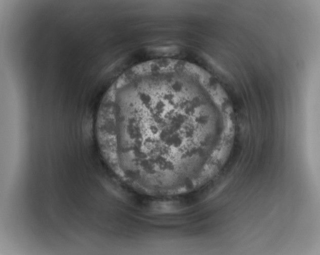 X0000113640745200910091536