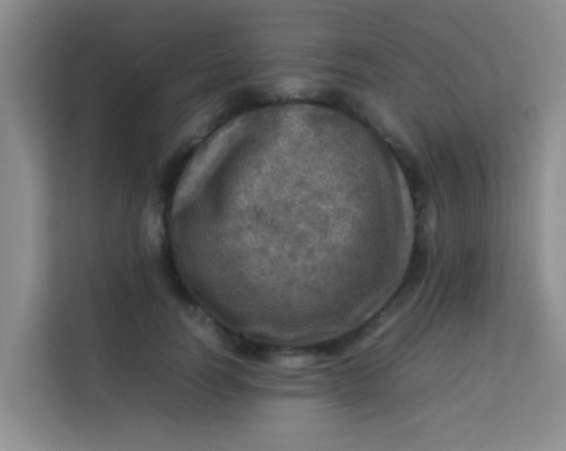 X0000113640746200910091536