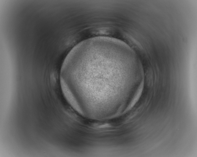 X0000113640747200910091536