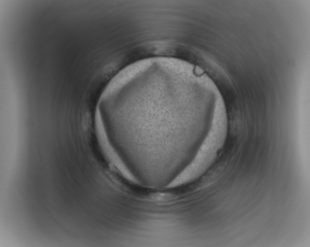 X0000113640748200910091536