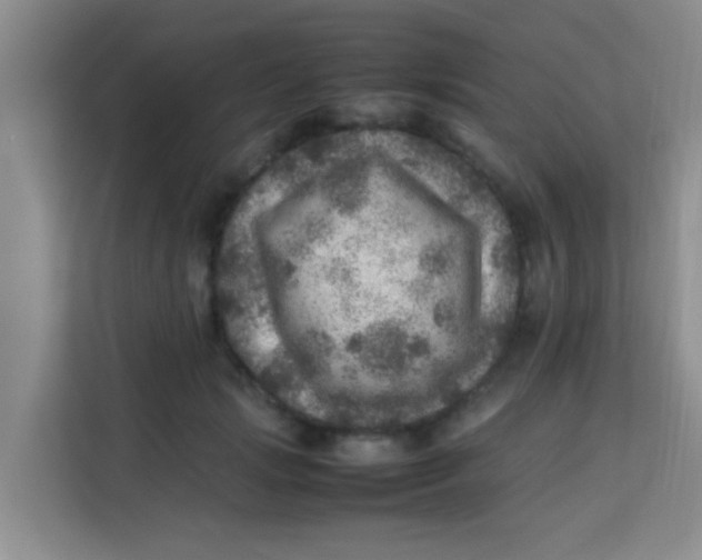 X0000113640749200910091536